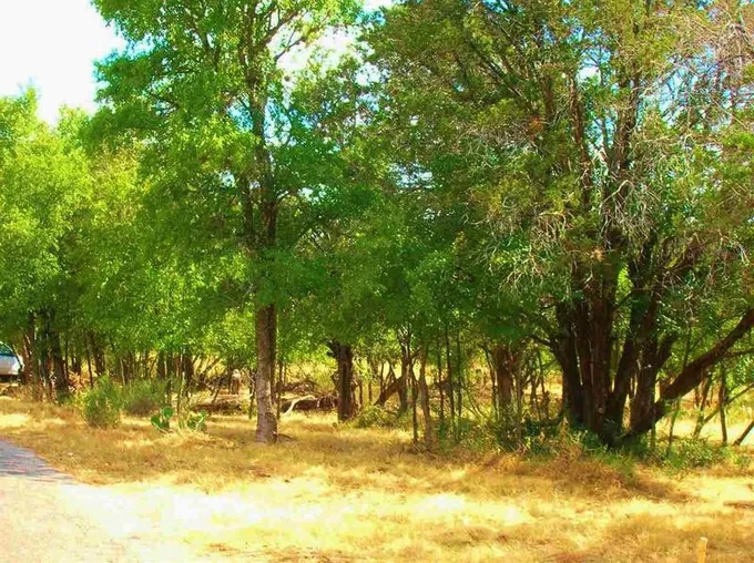 Cottonwood Shores, Burnet County, TX Homesites for sale Property ID: 418169132