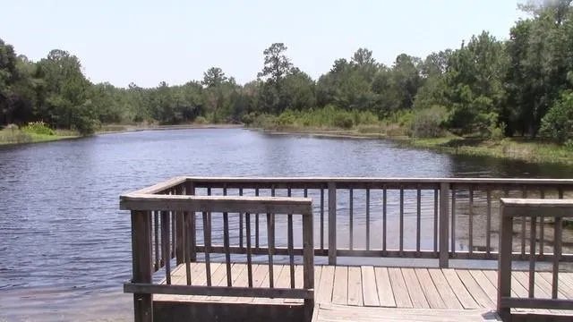 26519 Falcon LN, Hempstead, TX 77445 for Sale