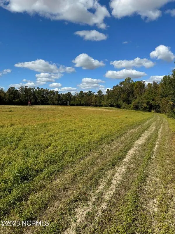 -near Will Inman Road, Tabor City, NC 28463 for Sale