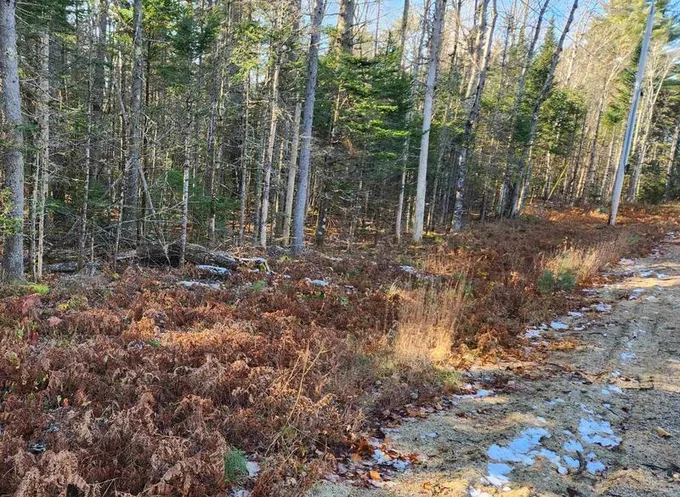 30 D Chase Road, Sandwich, NH 03259 for Sale