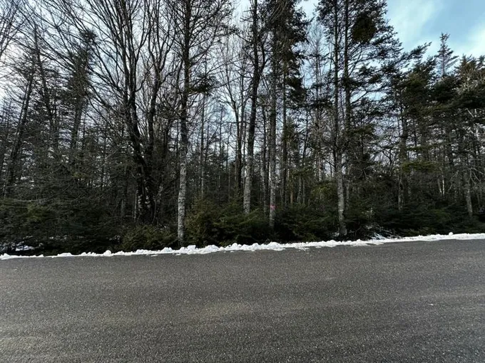 94 YOHO HEAD RD, Machiasport, ME 04655 Land For Sale  MLS# 1581133