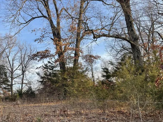 E Crawford Road, Harrison, AR 72601  623639735 for Sale