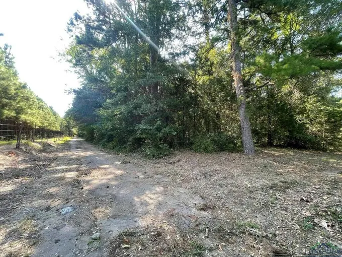 TBD JOHNSON RD, Gilmer, TX 75645 Land For Sale  MLS# 20234546