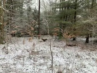 0 MONACACY LANE, Westfield, PA 16950 Land For Sale  MLS# 31717812