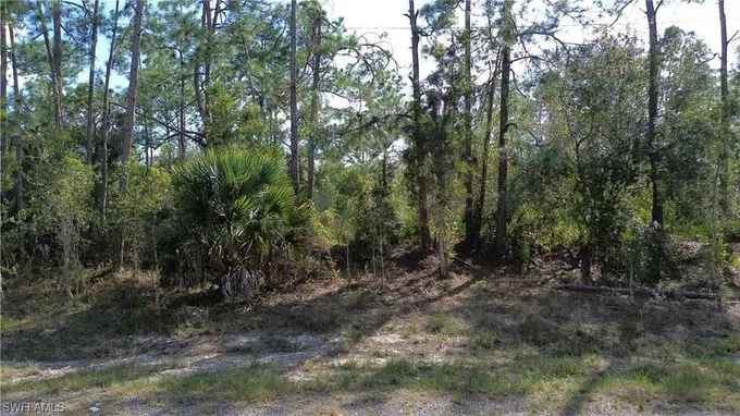 Lehigh Acres, Lee County, FL Undeveloped Land, Homesites for sale Property ID: 418473408