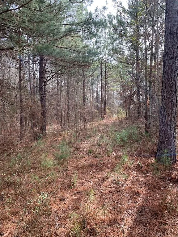 00 Fm 2138 Highway, Jacksonville, TX 75766 for Sale