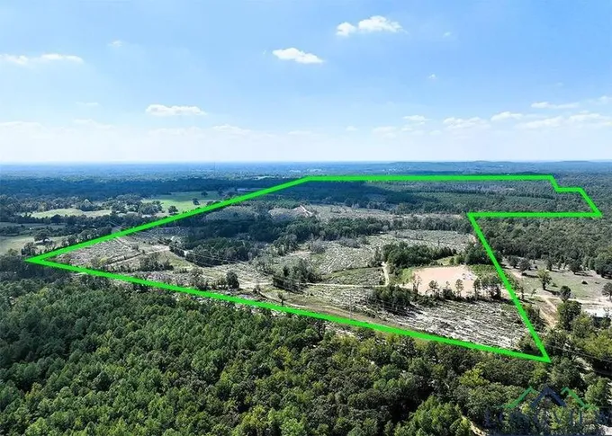 Longview, Gregg County, TX Undeveloped Land for sale Property ID: 417841218