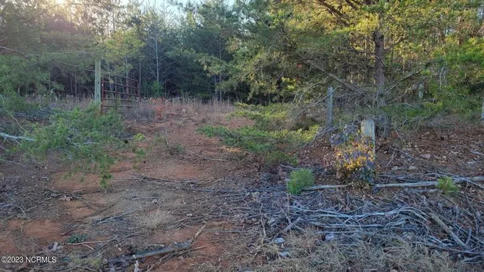 Goldston, Moore County, NC Undeveloped Land for sale Property ID: 418477654