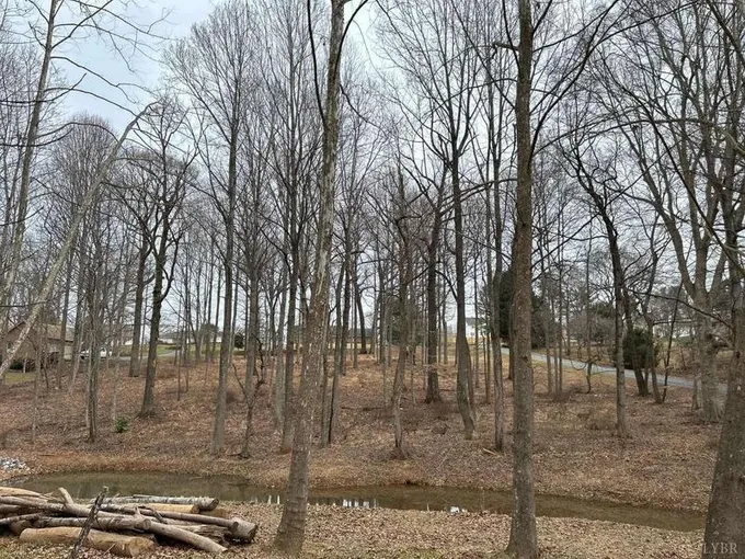 1 Laurel Lake, Lynchburg, VA 24503  624036999 for Sale