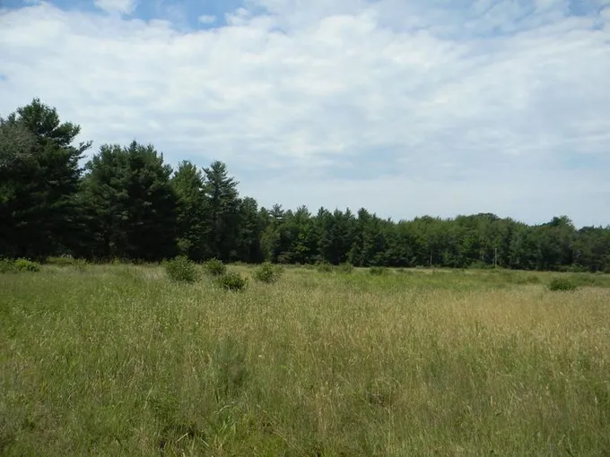 Pentwater, Oceana County, MI Undeveloped Land, Homesites for sale Property ID: 418702895