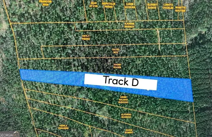Track D Off Greensboro Rd, Crawfordville, GA 30631 - MLS 20168376 for Sale
