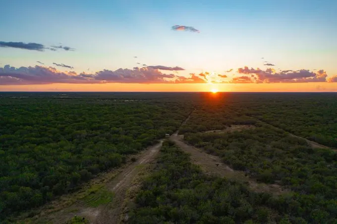 Benavides, Duval County, TX Recreational Property, Undeveloped Land, Hunting Property for sale Property ID: 418420705