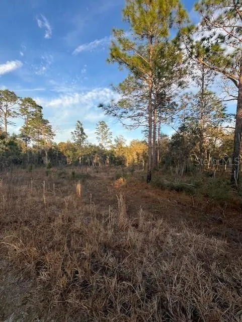 Williston, Levy County, FL Undeveloped Land, Homesites for sale Property ID: 418876298