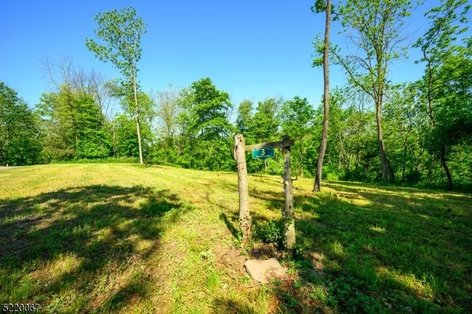 3 Sycamore Lane, Hillsborough, NJ 08844 for Sale