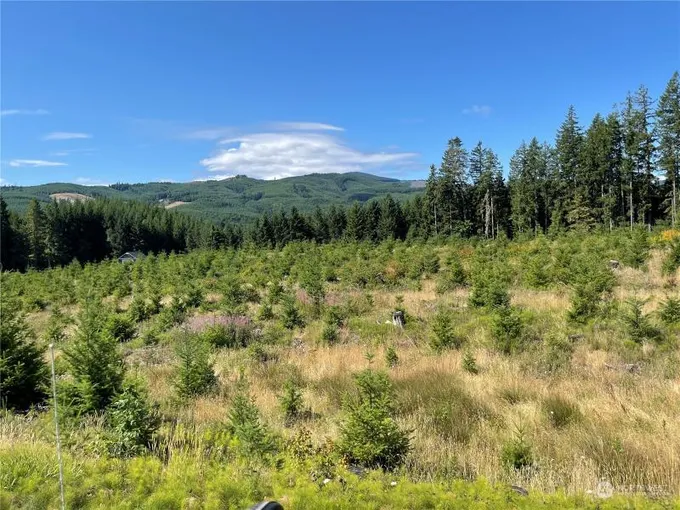 0 Pe Ell Mc Donald Road, Chehalis, WA 98532 for Sale