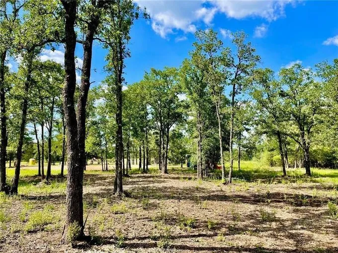 637 Beaver Ridge, Caldwell, TX 77836 for Sale
