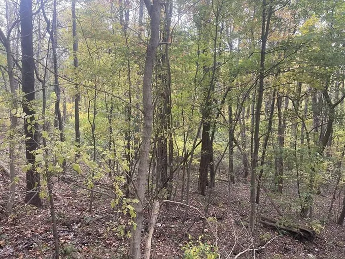 2230 Birds Creek Rd, Tunnelton, WV 26444  623905178 for Sale