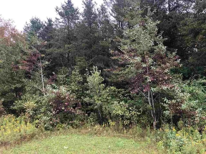 Beaverton, Gladwin County, MI Undeveloped Land, Homesites for sale Property ID: 411677154