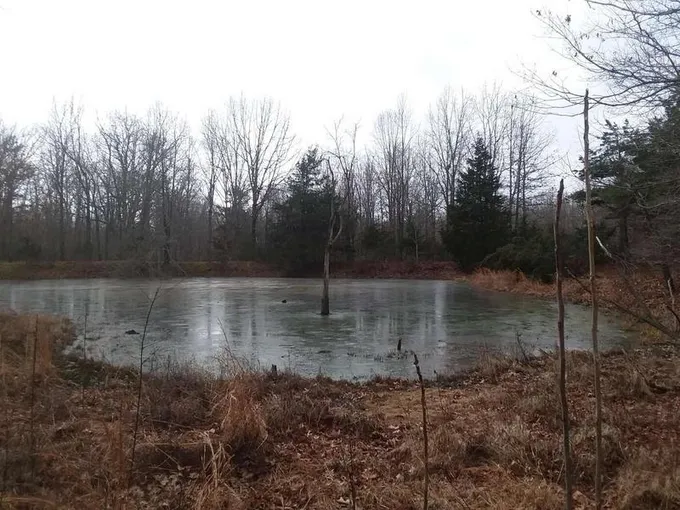 000 County Road 1290, Willow Springs, MO 65793  624492106 for Sale