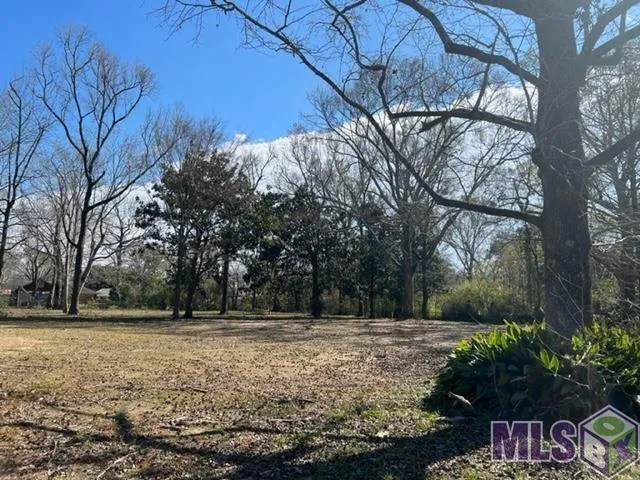 Baton Rouge, East Baton Rouge Parish, LA Undeveloped Land, Homesites for sale Property ID: 414650531