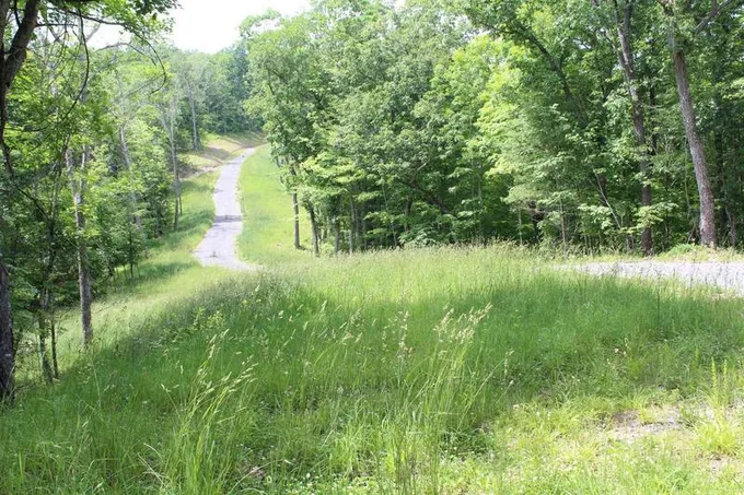 Stonehenge Pkwy, Lewisburg, WV 24901  624357779 for Sale