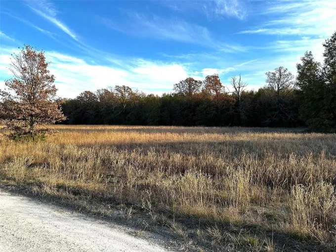 Blossom, Lamar County, TX Undeveloped Land, Homesites for sale Property ID: 418381755
