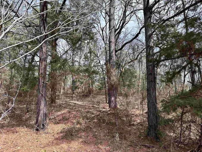 18771 Village Parkway, Flint, TX 75762 for Sale