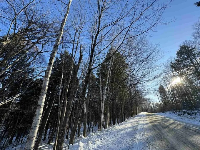 I-22 Fay Boyden Road, Wardsboro, VT 05355  623745629 for Sale