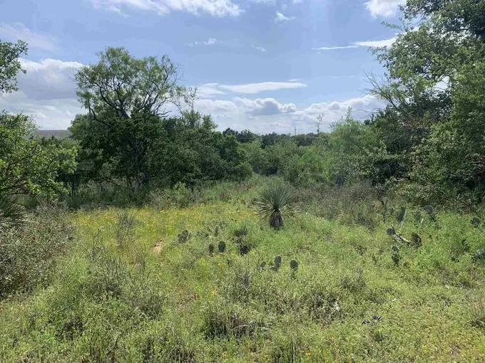 Granite Shoals, Burnet County, TX Undeveloped Land, Homesites for sale Property ID: 418568965
