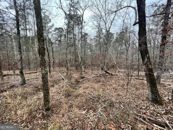 0 OCONEE DRIVE, Sparta, GA 31087 Land For Sale  MLS# 20169090