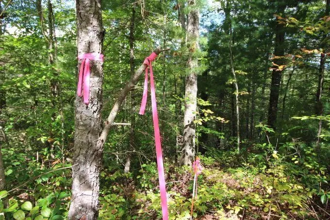 Walland, Blount County, TN Undeveloped Land, Homesites for sale Property ID: 417990170