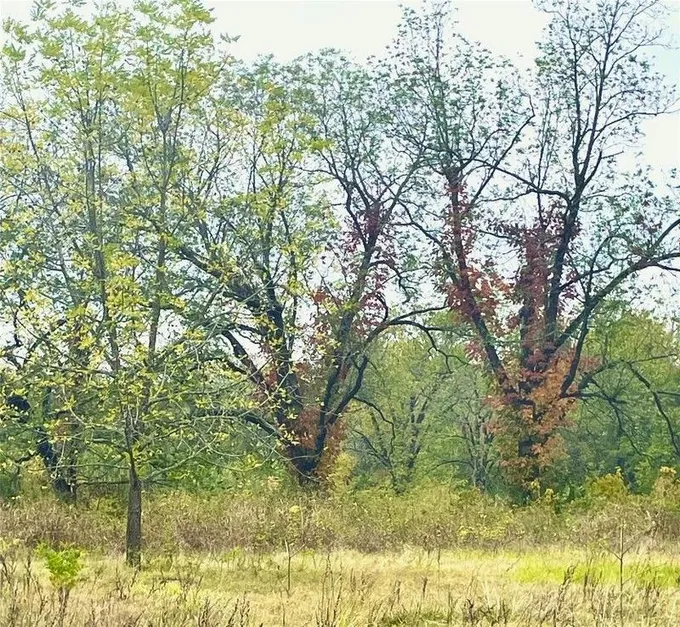 Fort Towson, Choctaw County, OK Undeveloped Land for sale Property ID: 418537939