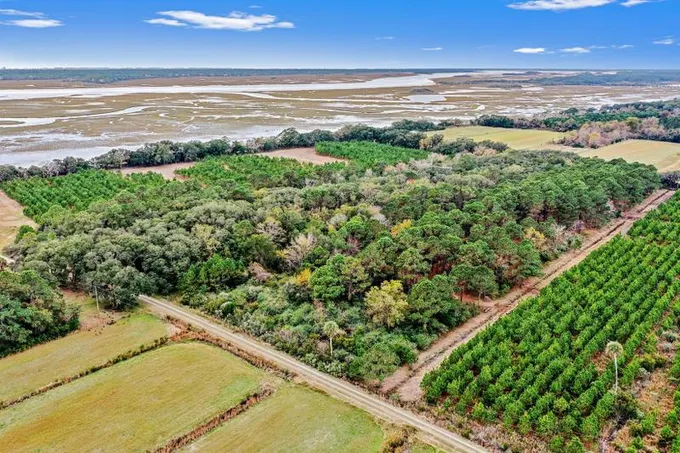 Johns Island, Charleston County, SC Recreational Property, Horse Property for sale Property ID: 418459446