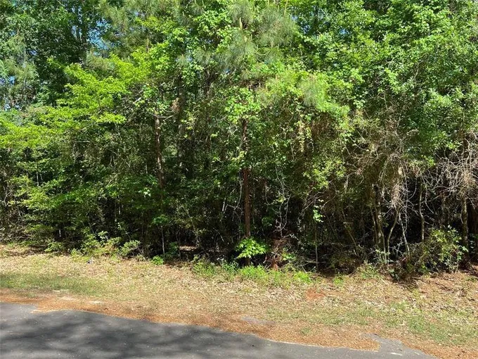 30 Hawk Lane, Trinity, TX 75862 for Sale