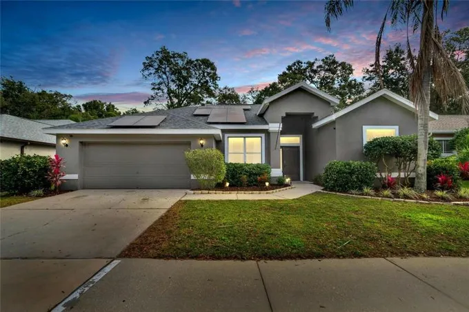 1144 LUMSDEN TRACE CIR, VALRICO, FL 33594 Single Family Residence For Sale  MLS# T3498349