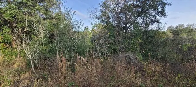 SE 252nd Ave #8, Umatilla, FL 32784  MLS# G5076728 for Sale