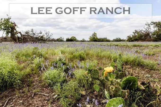 1570 T2 FM 479, Harper, TX 78631 for Sale