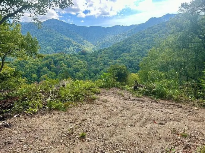 Cherokee, Swain County, NC for sale Property ID: 417751188