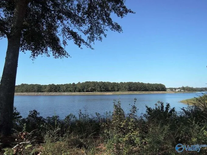 Lot 31 County Road 1462, Cullman, AL 35055  623898670 for Sale