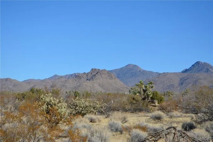 Yucca, Mohave County, AZ Farms and Ranches for sale Property ID: 418779852