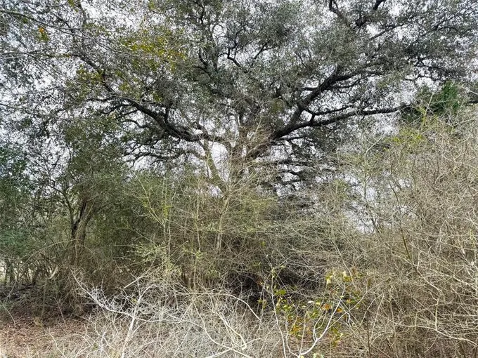 TBD Kearney Drive, Columbus, TX 78934 for Sale