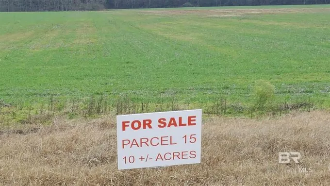 Foley, Baldwin County, AL Undeveloped Land for sale Property ID: 418160461