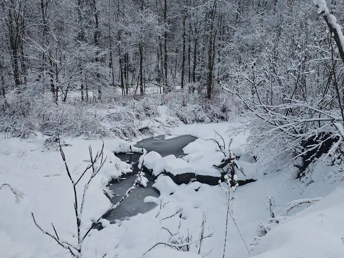 Ava, Oneida County, NY Undeveloped Land, Lakefront Property, Waterfront Property for sale Property ID: 418747530