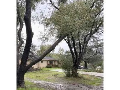 Fair Oaks Blvd for Sale