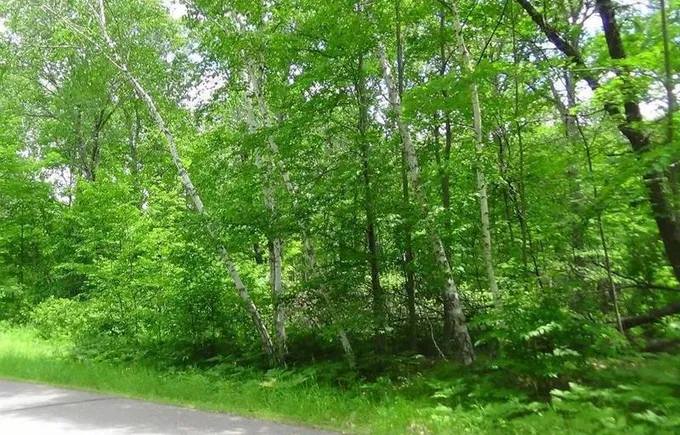 xyzx Bonnie Lakes Road Rd, Crosslake, MN 56442 - MLS 6483930 for Sale