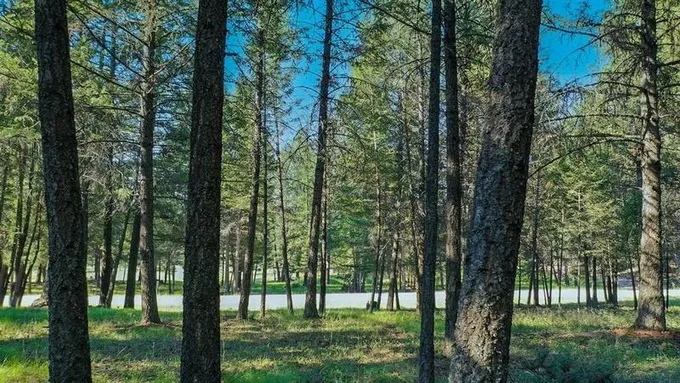 Eureka, Lincoln County, MT Undeveloped Land, Homesites for sale Property ID: 418082824