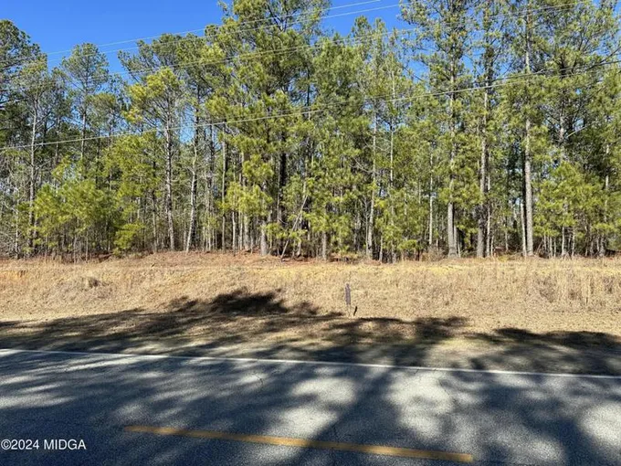 1466 PATE RD ROAD, Juliette, GA 31046 Land For Sale  MLS# 173594