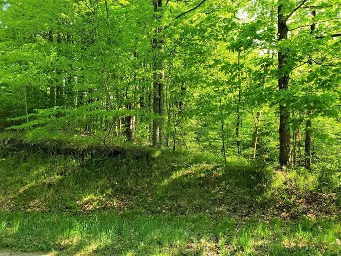 Athelstane, Marinette County, WI Undeveloped Land for sale Property ID: 415957068