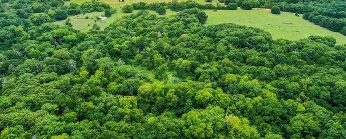 11932 Fm 1651, Canton, TX 75103 for Sale