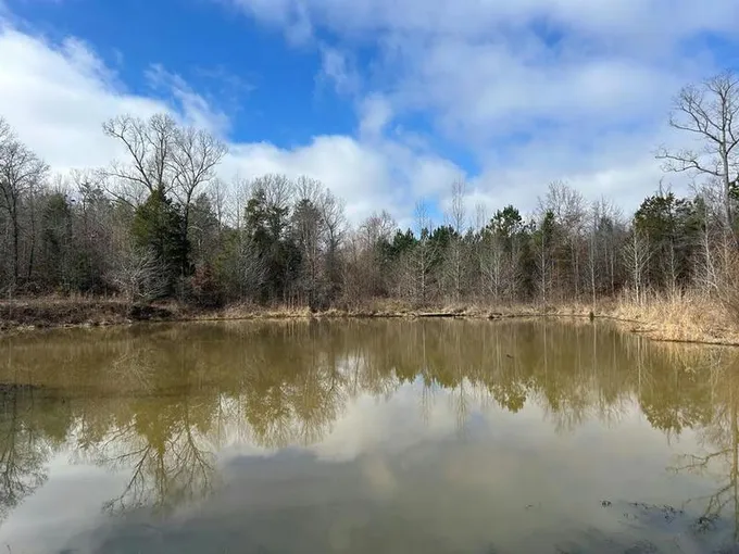 57 COUNTY ROAD 351, TAYLOR, MS 38673 Land For Sale  MLS# 157330